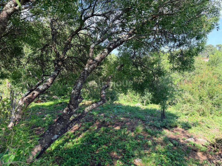 Terreno en Venta en Punilla, Cordoba