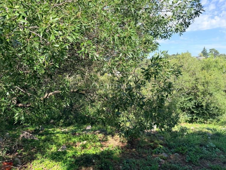 Terreno en Venta en Punilla, Cordoba