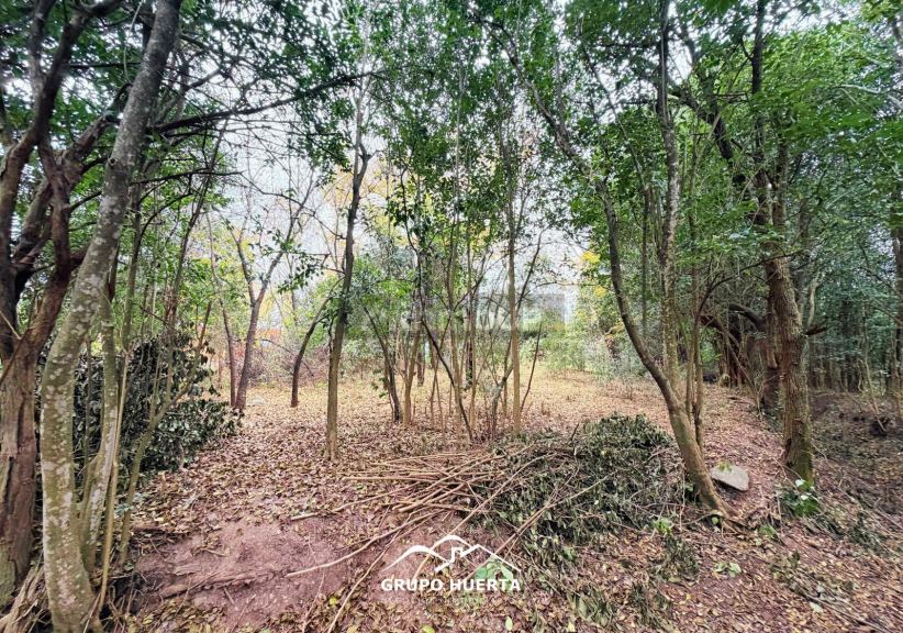 Terreno en Venta en Punilla, Cordoba