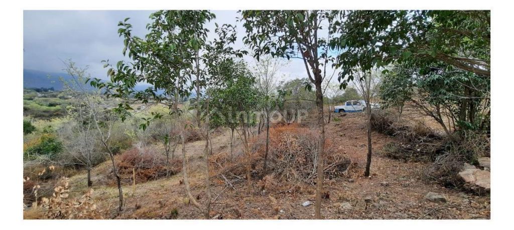 Terreno en Venta en Punilla, Cordoba