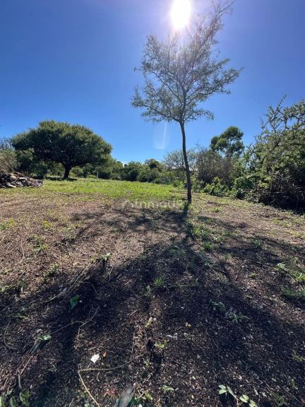 Terreno en Venta en Punilla, Cordoba