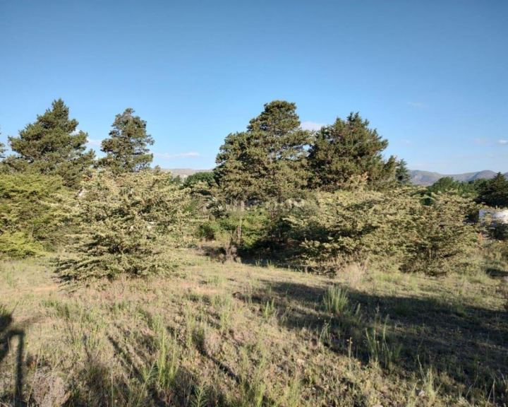 Terreno en Venta en Punilla, Cordoba