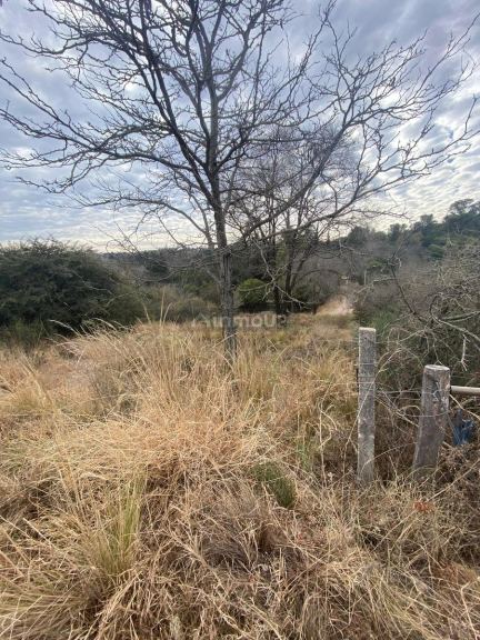 Terreno en Venta en Punilla, Cordoba