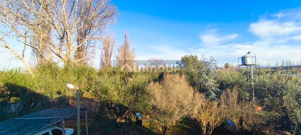Casa en Alquiler en Maipu, Mendoza - $ 550.000 | Inmoup - 13