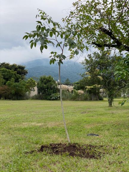 Lote en Venta en Yerba Buena, Tucuman