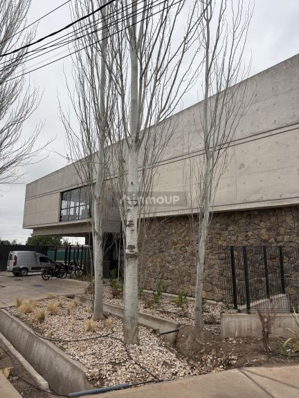 Departamento en Alquiler en Lujan de Cuyo, Mendoza