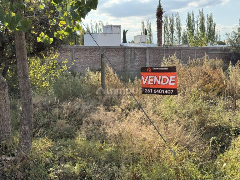 Terreno en Venta en Lujan de Cuyo, Mendoza