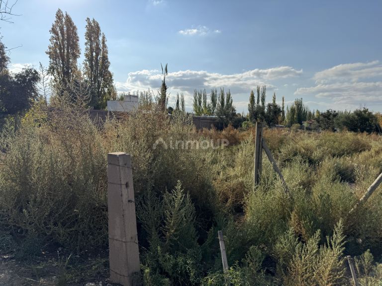 Terreno en Venta en Lujan de Cuyo, Mendoza