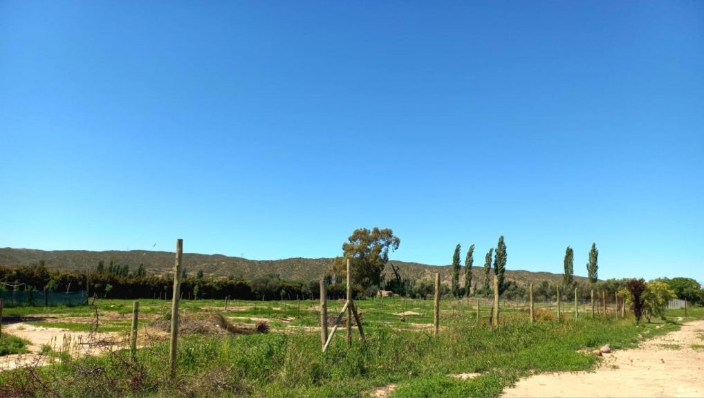 Lote en Venta en Lujan de Cuyo, Mendoza