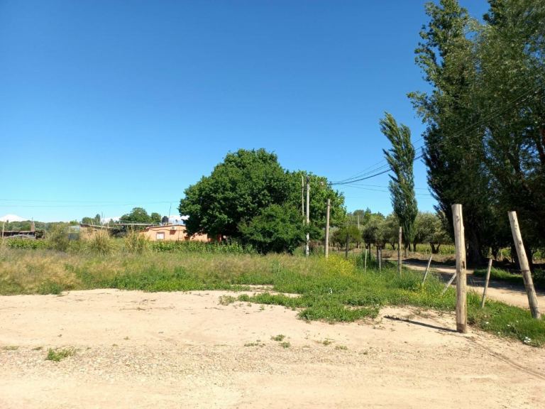 Lote en Venta en Lujan de Cuyo, Mendoza