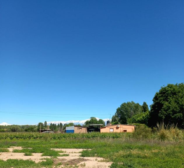 Lote en Venta en Lujan de Cuyo, Mendoza