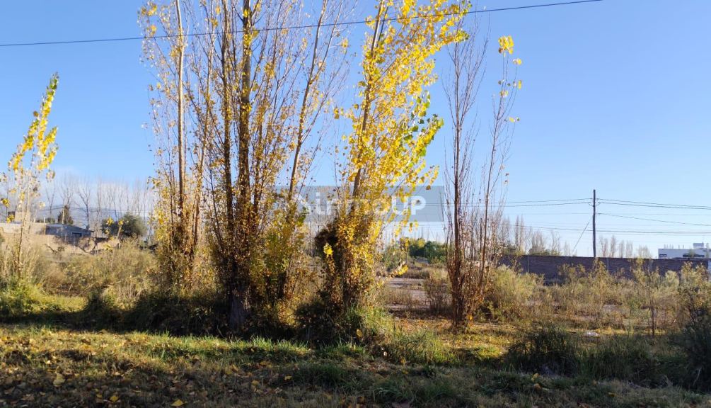 Lote en Venta en Maipu, Mendoza