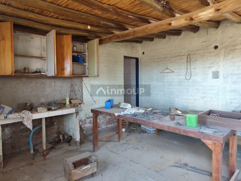 Campo en Venta en Lujan de Cuyo, Mendoza