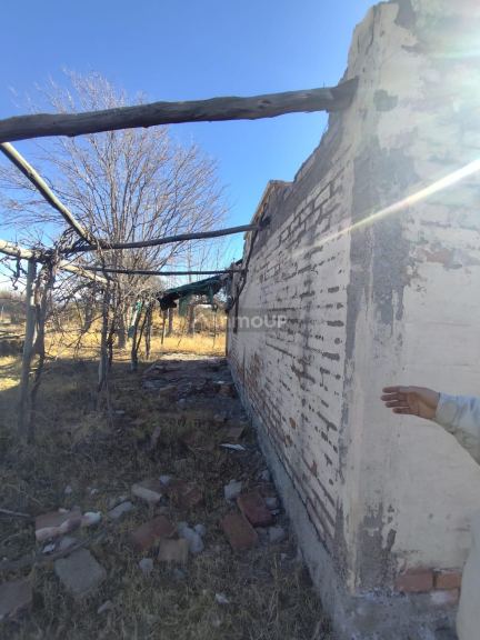 Campo en Venta en Lujan de Cuyo, Mendoza