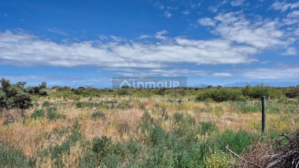 Campo en Venta en Lujan de Cuyo, Mendoza