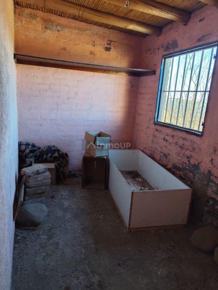 Campo en Venta en Lujan de Cuyo, Mendoza