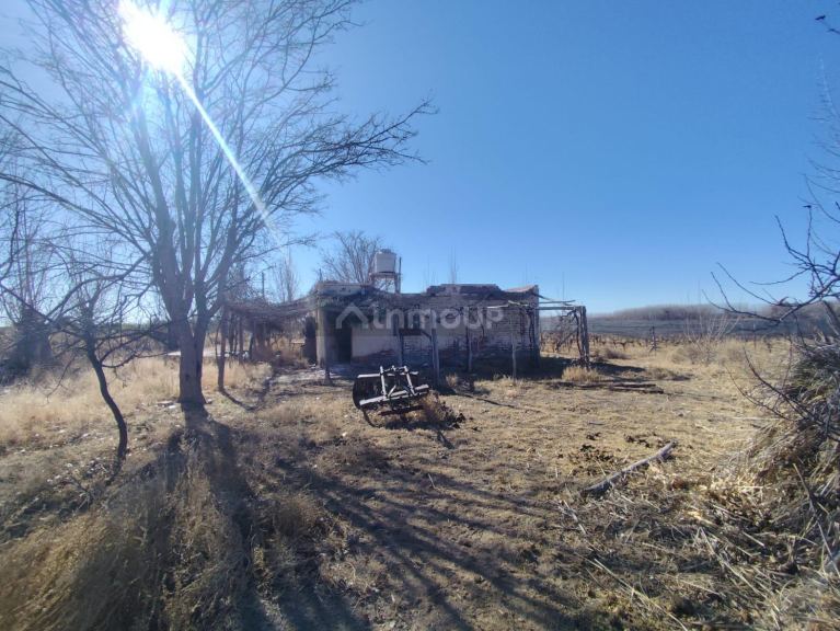 Campo en Venta en Lujan de Cuyo, Mendoza