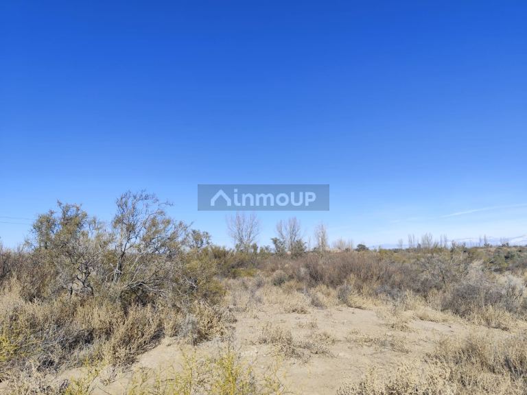 Campo en Venta en Lujan de Cuyo, Mendoza