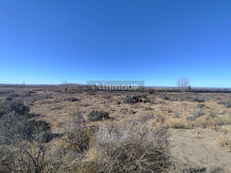 Campo en Venta en Lujan de Cuyo, Mendoza