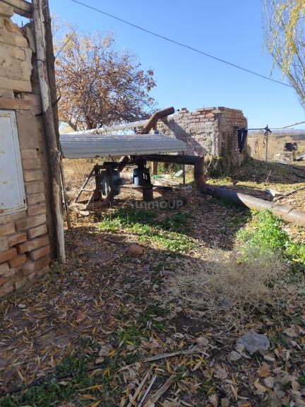 Campo en Venta en Lujan de Cuyo, Mendoza