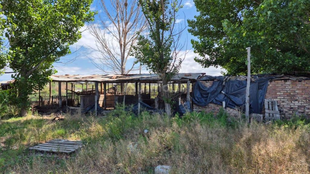 Campo en Venta en Lujan de Cuyo, Mendoza