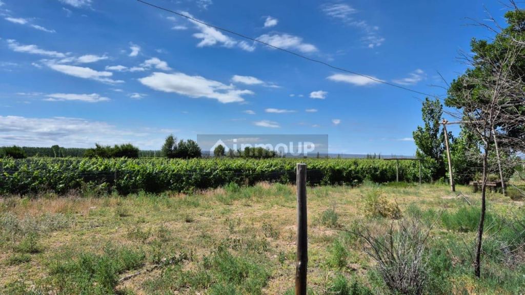 Campo en Venta en Lujan de Cuyo, Mendoza