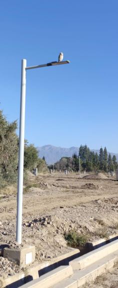 Lote en Venta en Lujan de Cuyo, Mendoza