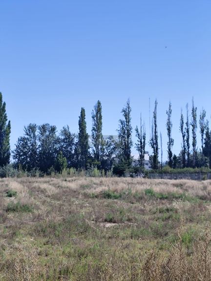 Terreno en Venta en Lujan de Cuyo, Mendoza