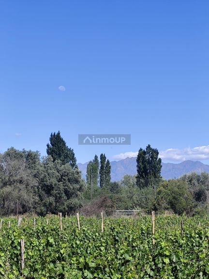 Terreno en Venta en Lujan de Cuyo, Mendoza
