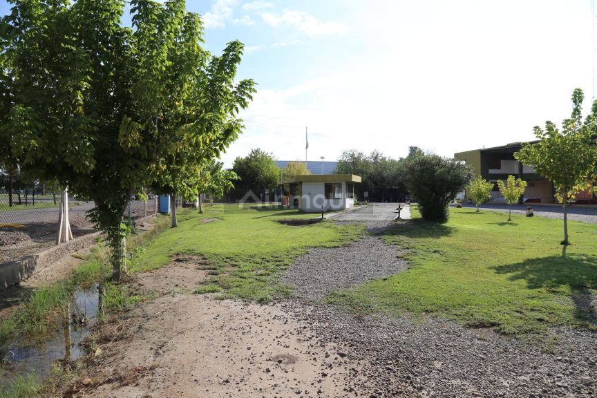 Terreno en Venta en Lujan de Cuyo, Mendoza