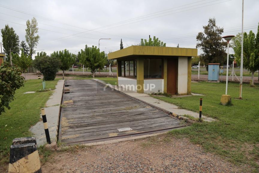 Terreno en Venta en Lujan de Cuyo, Mendoza