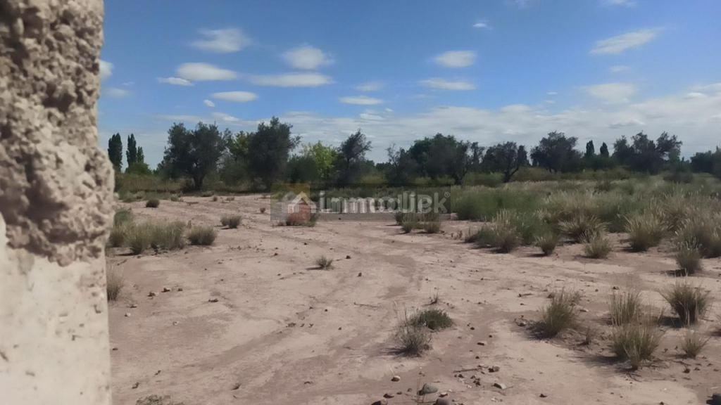 Lote en Venta en Maipu, Mendoza