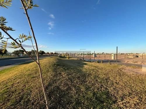 Lote en Venta en Maipu, Mendoza
