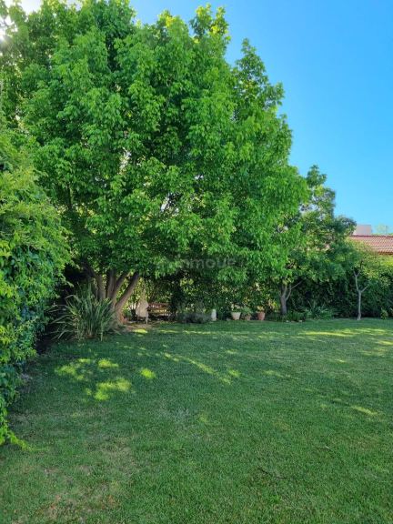Casa en Alquiler en Maipu, Mendoza