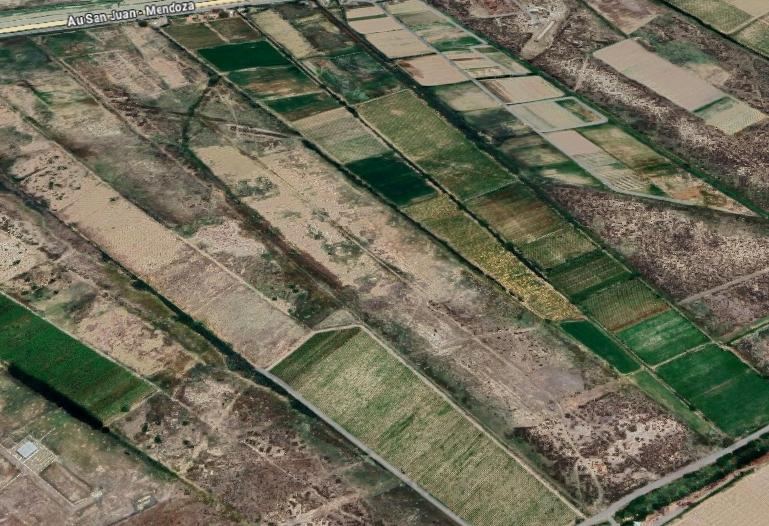 Campo en Venta en Lavalle, Mendoza