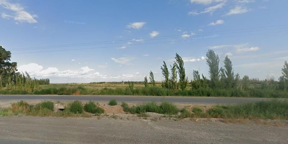 Campo en Venta en Lavalle, Mendoza