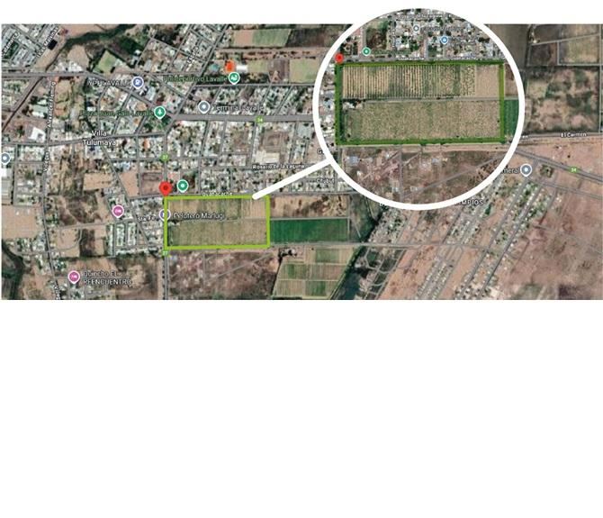 Finca en Venta en Lavalle, Mendoza