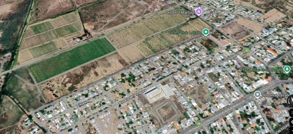 Finca en Venta en Lavalle, Mendoza
