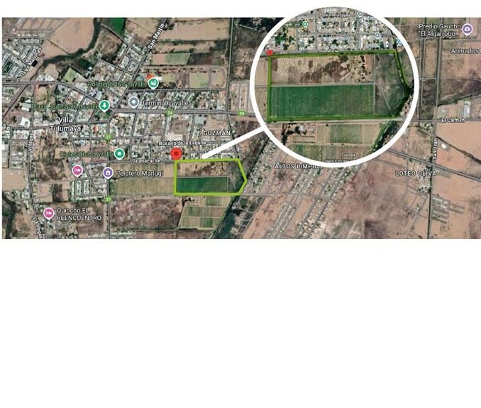 Finca en Venta en Lavalle, Mendoza