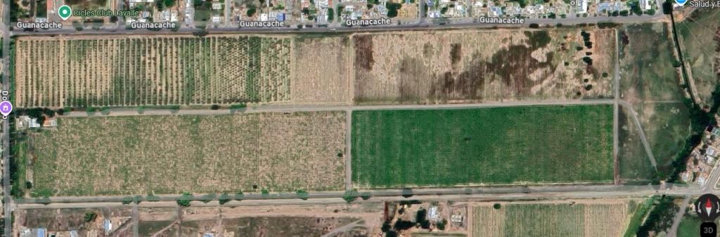 Finca en Venta en Lavalle, Mendoza