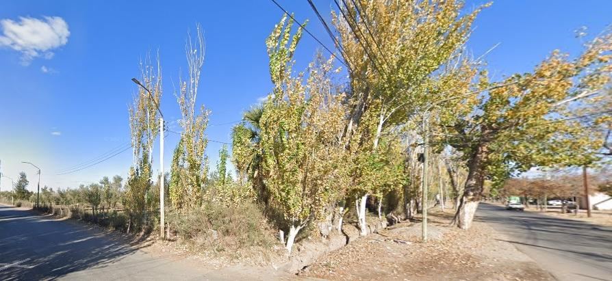 Finca en Venta en Lavalle, Mendoza