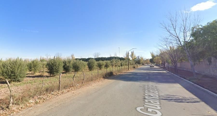 Finca en Venta en Lavalle, Mendoza