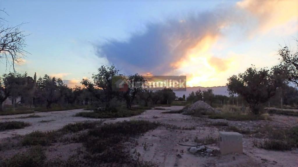 Lote en Venta en Lujan de Cuyo, Mendoza