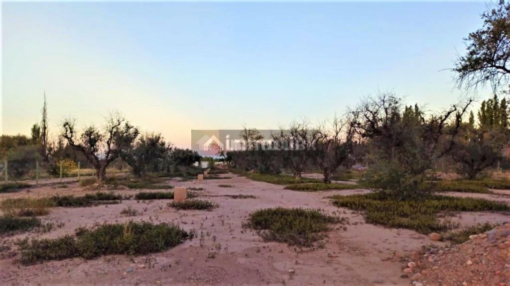 Lote en Venta en Lujan de Cuyo, Mendoza