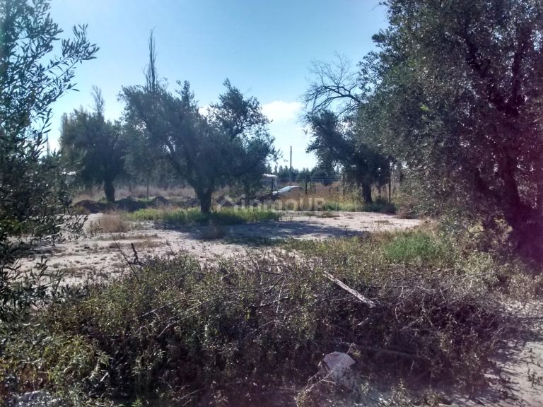 Lote en Venta en Lujan de Cuyo, Mendoza