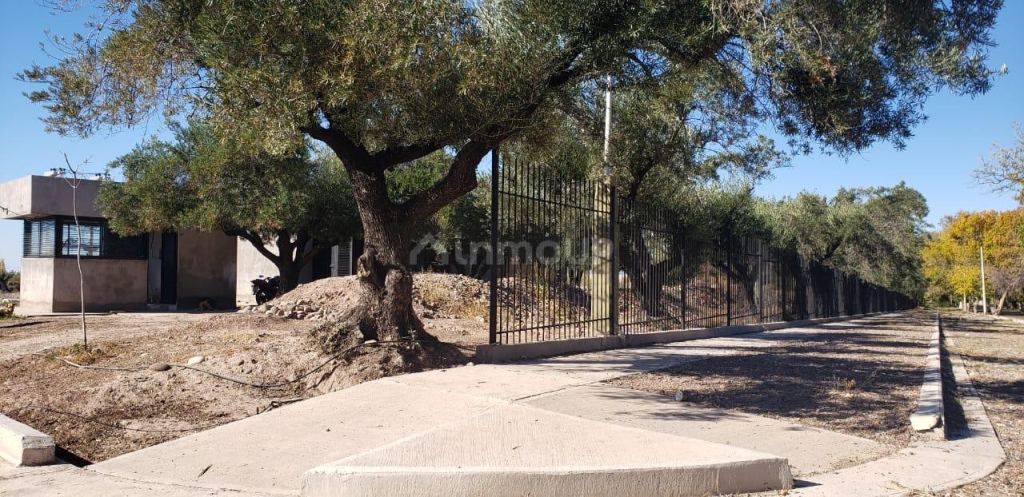 Lote en Venta en Maipu, Mendoza