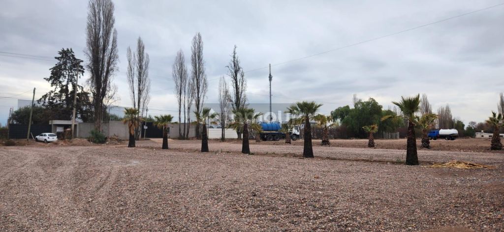 Lote en Venta en Lujan de Cuyo, Mendoza