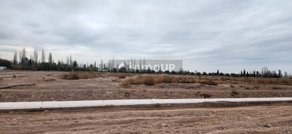 Lote en Venta en Lujan de Cuyo, Mendoza