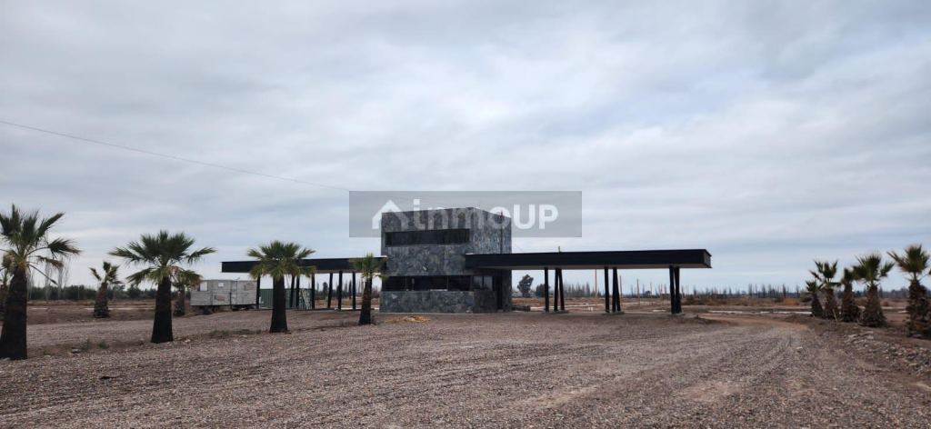 Lote en Venta en Lujan de Cuyo, Mendoza