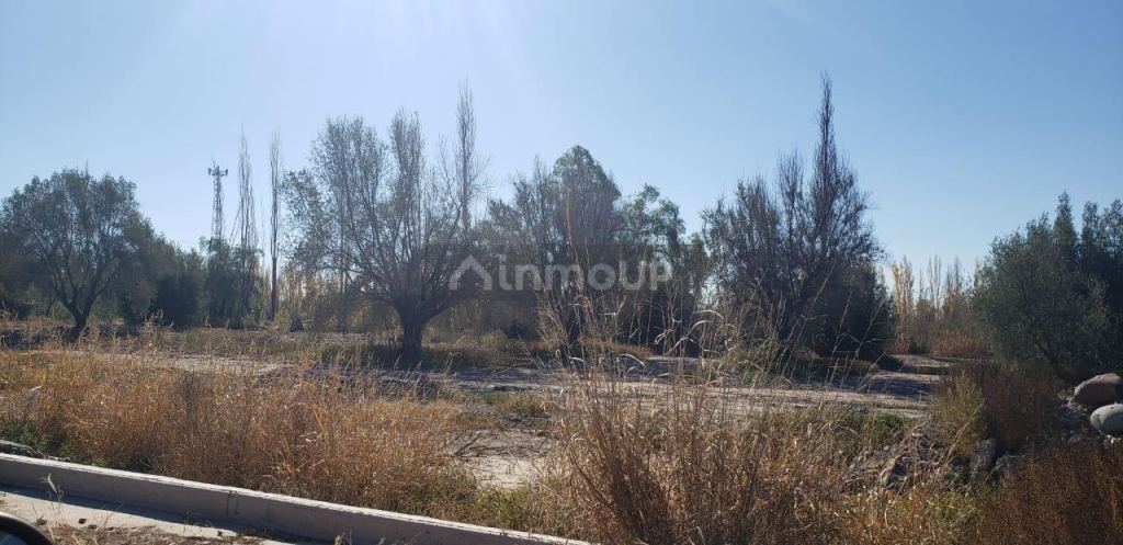Lote en Venta en Maipu, Mendoza